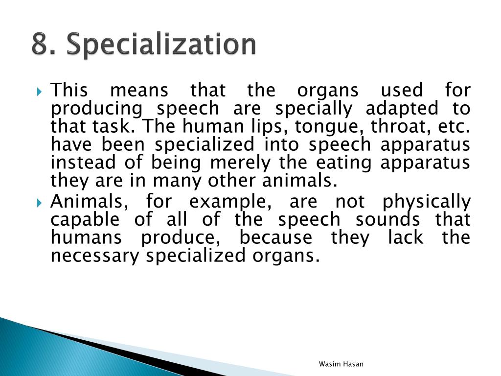 PPT Theories of Language Description PowerPoint Presentation, free