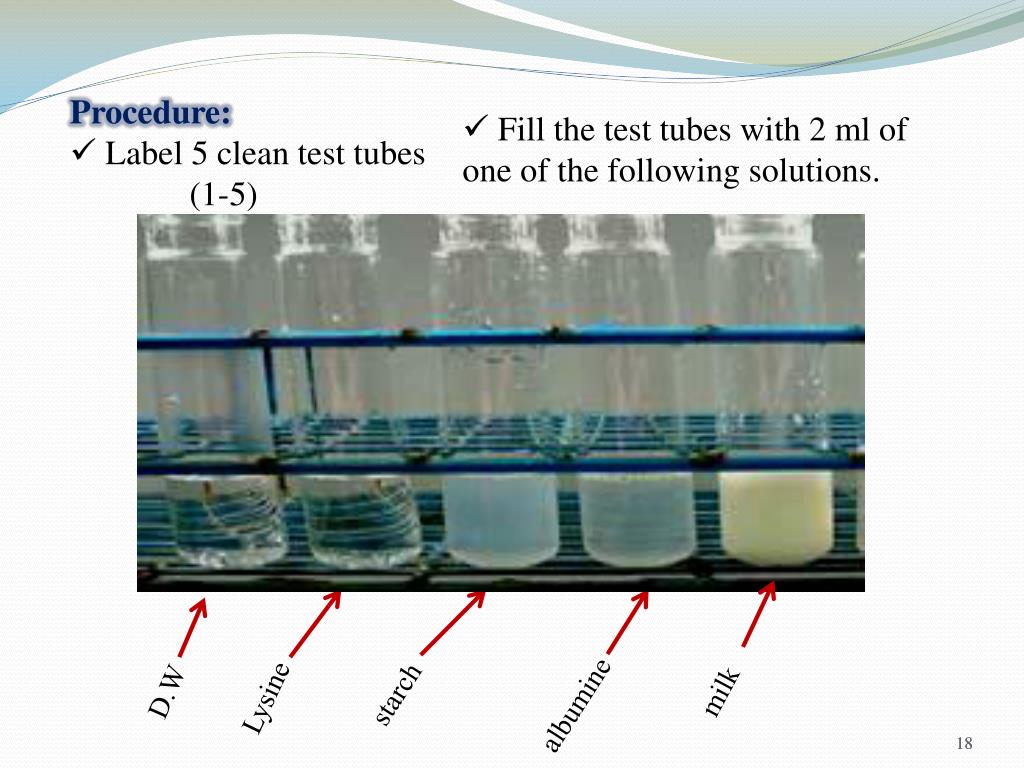 PPT Biological Macromolecules PowerPoint Presentation, free download