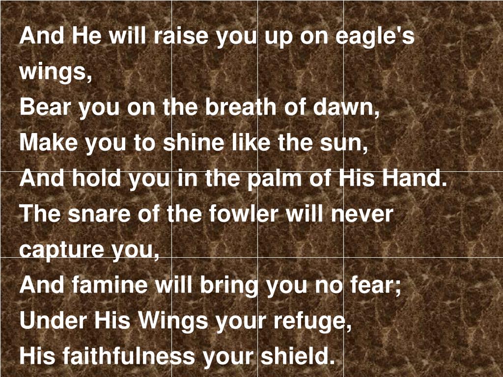 Eagle Gallery and he will raise you up on eagles wings chords and lyrics