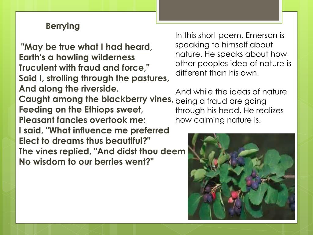 PPT Emerson and Nature PowerPoint Presentation, free download ID