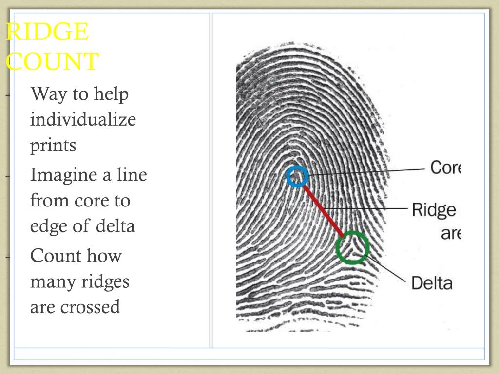 PPT FINGERPRINTS PowerPoint Presentation, free download ID2333129