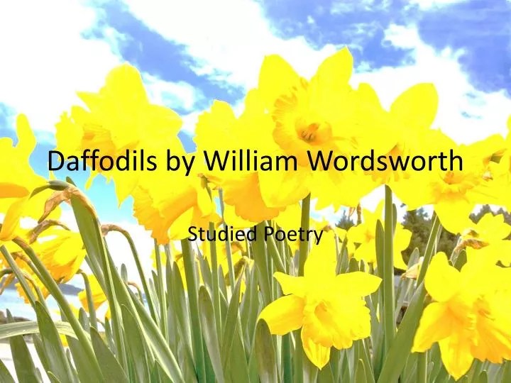 PPT Daffodils by William Wordsworth PowerPoint Presentation, free