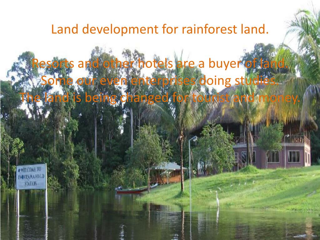 PPT Rainforest PowerPoint Presentation, free download ID2334306