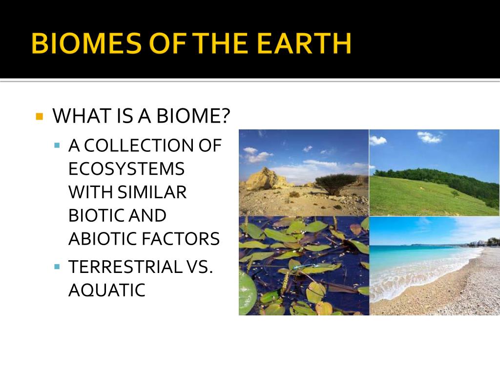 PPT BIOMES OF THE EARTH PowerPoint Presentation, free download ID