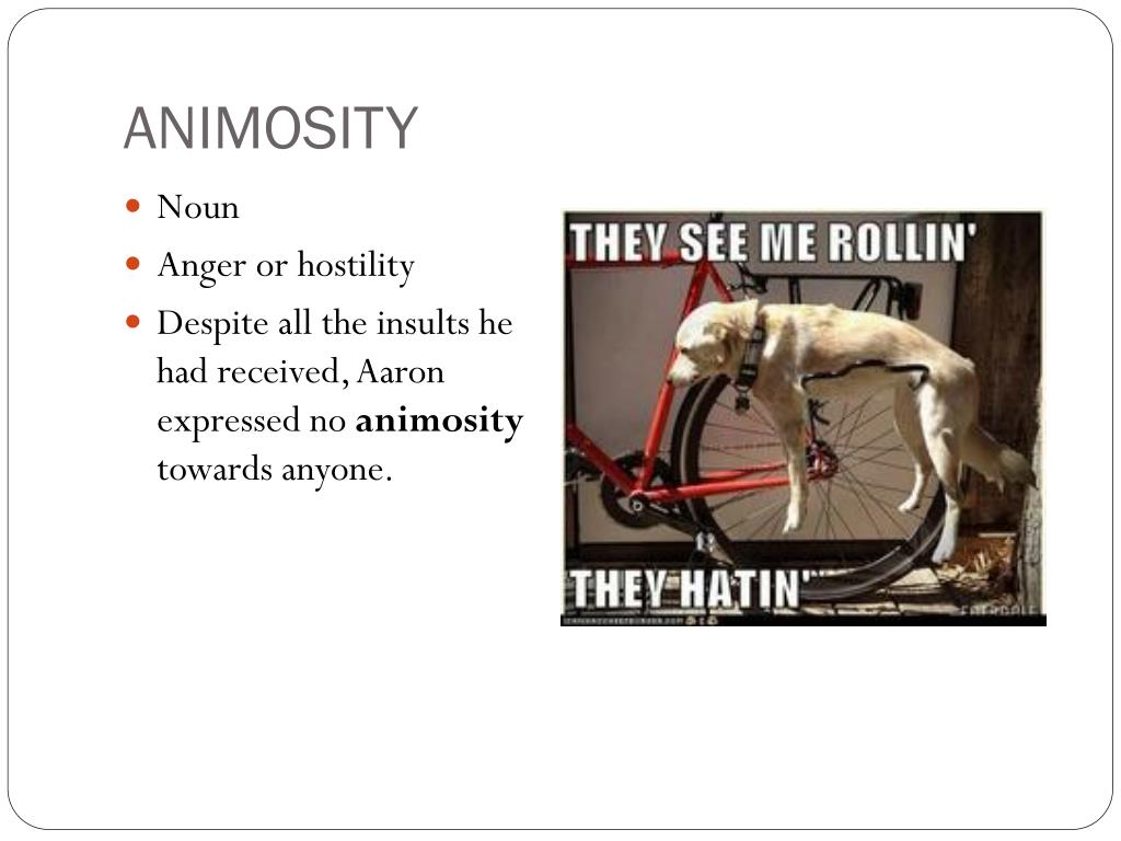 Define animosity fanpoliz
