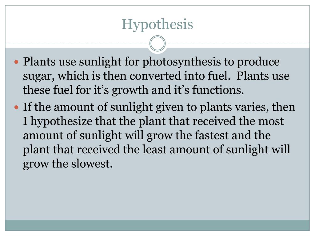 PPT Sunlight and Plant Growth PowerPoint Presentation, free download