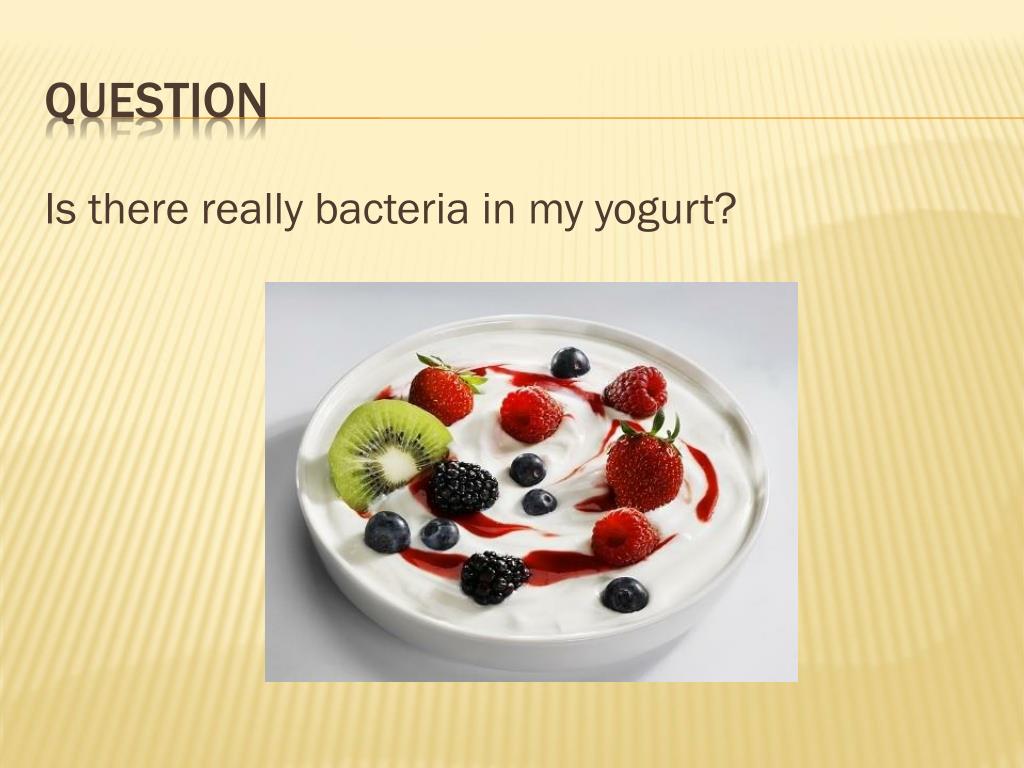 PPT Is there Really Bacteria in My Yogurt? PowerPoint Presentation