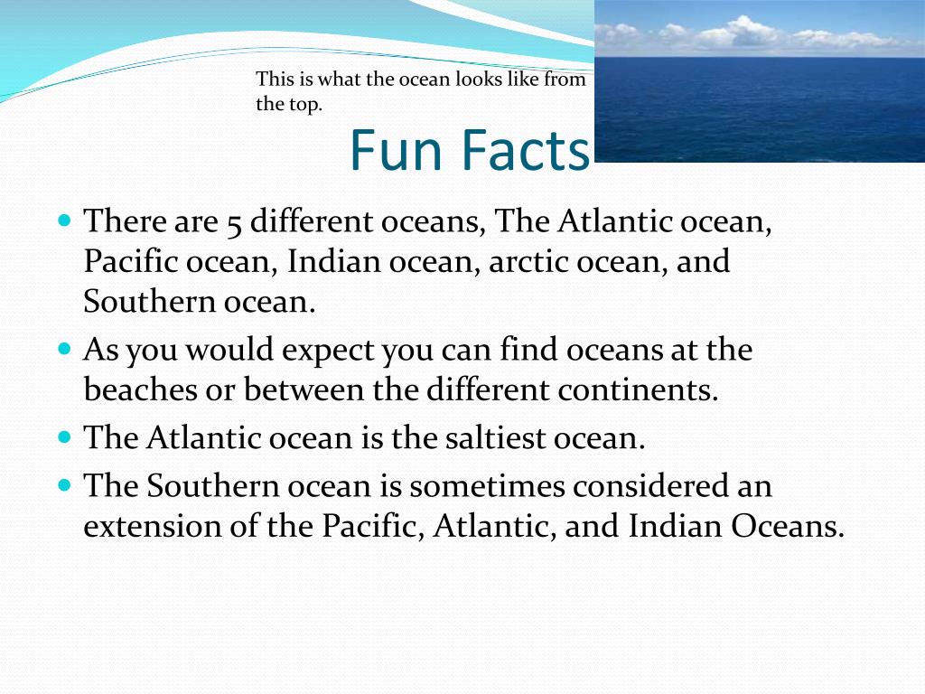 PPT Ocean Biome PowerPoint Presentation, free download ID2344639