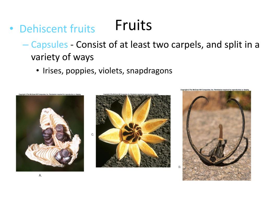 PPT Ch 8 Part 2 PowerPoint Presentation, free download ID2345136