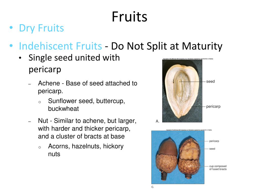 PPT Ch 8 Part 2 PowerPoint Presentation, free download ID2345136