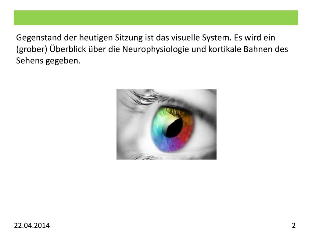PPT Vorlesung Allgemeine Psychologie Visuelles System