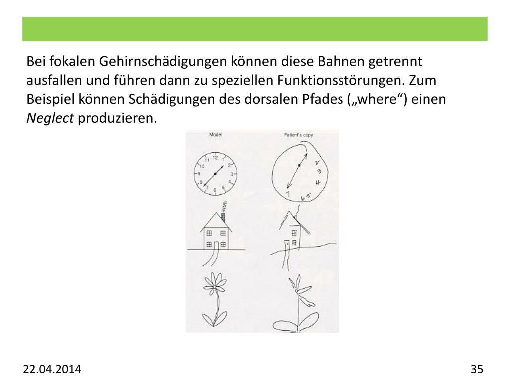 PPT Vorlesung Allgemeine Psychologie Visuelles System