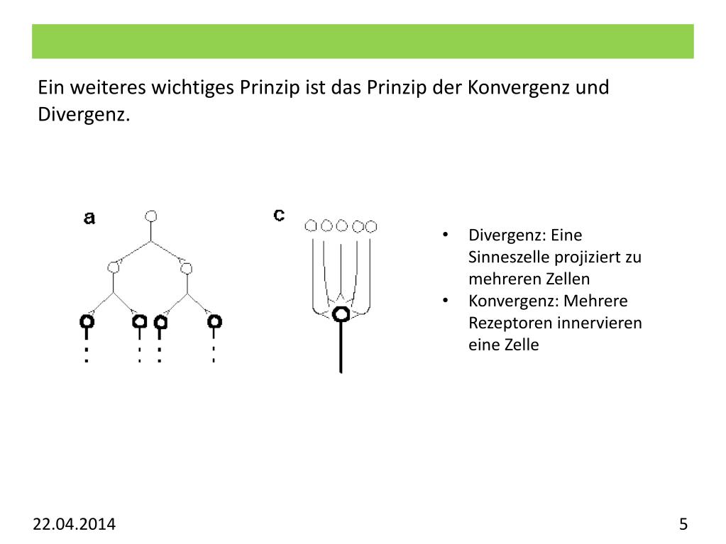 PPT Vorlesung Allgemeine Psychologie Visuelles System