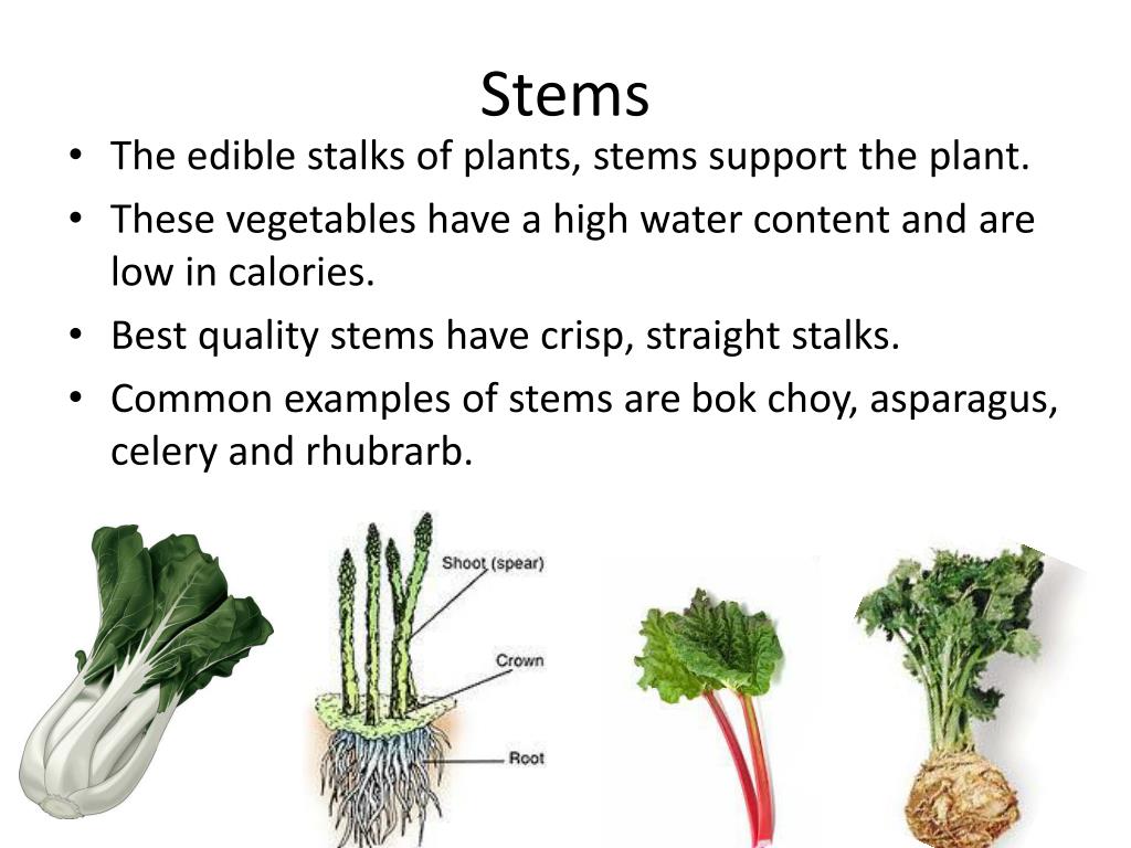 PPT Vegetables PowerPoint Presentation, free download ID2349298