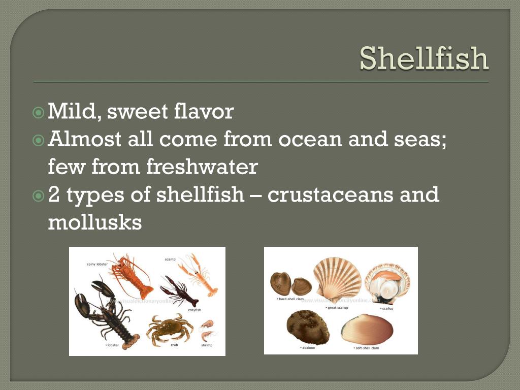 PPT Fish and Shellfish Selection and Storage PowerPoint Presentation