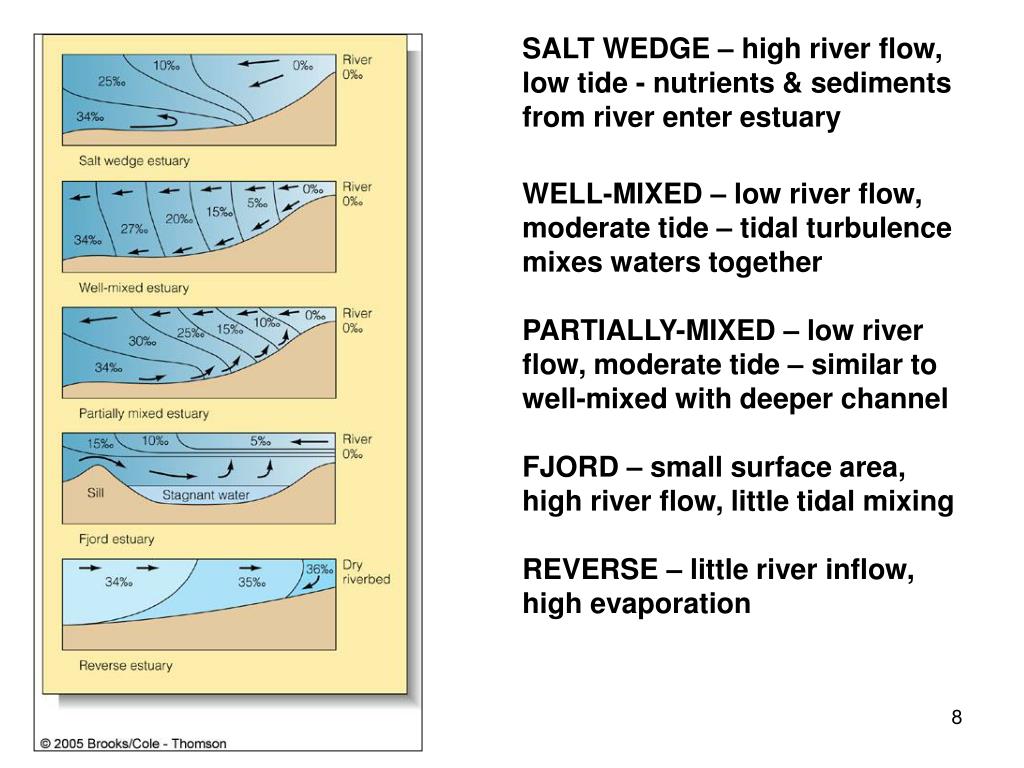 PPT ESTUARIES PowerPoint Presentation, free download ID2350963