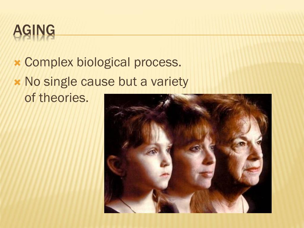 PPT Middle And Late Adulthood PowerPoint Presentation, free download