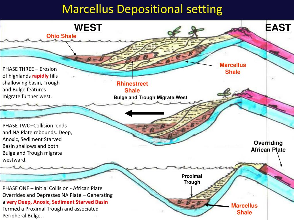 PPT seismic interpretation of the Marcellus shale