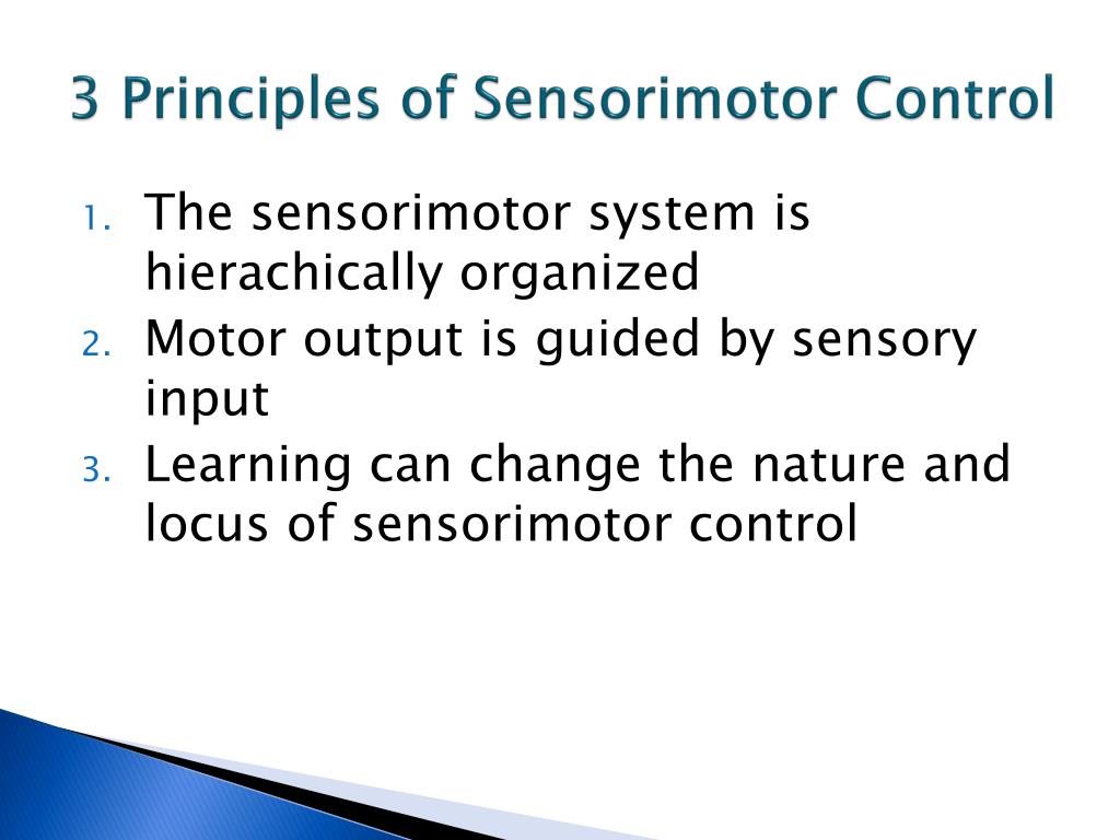 PPT TOPIC 6 The Sensorimotor System PowerPoint Presentation, free