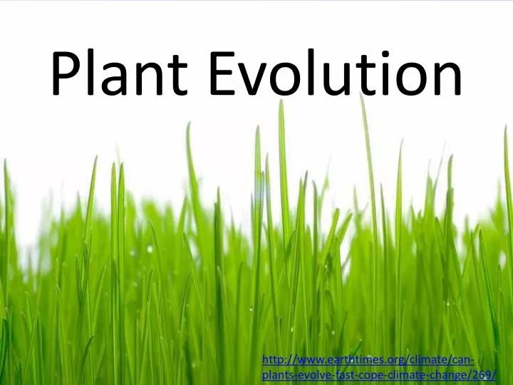 PPT Plant Evolution PowerPoint Presentation, free download ID2360585