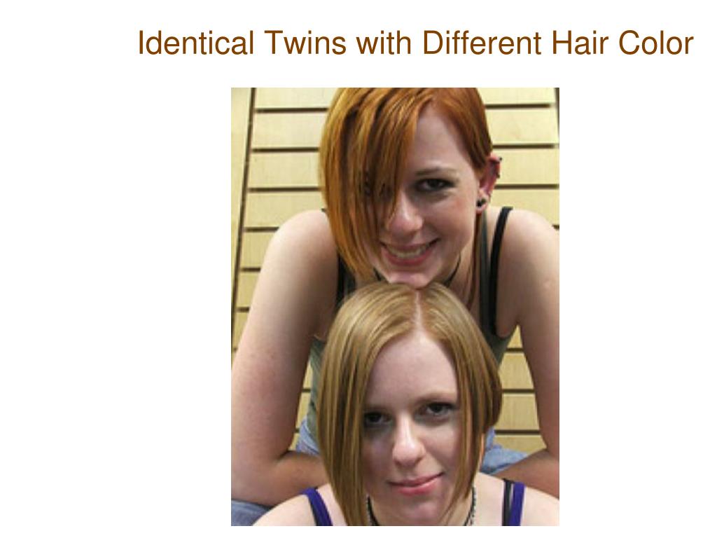 PPT Identical Twins with Different Hair Color PowerPoint Presentation
