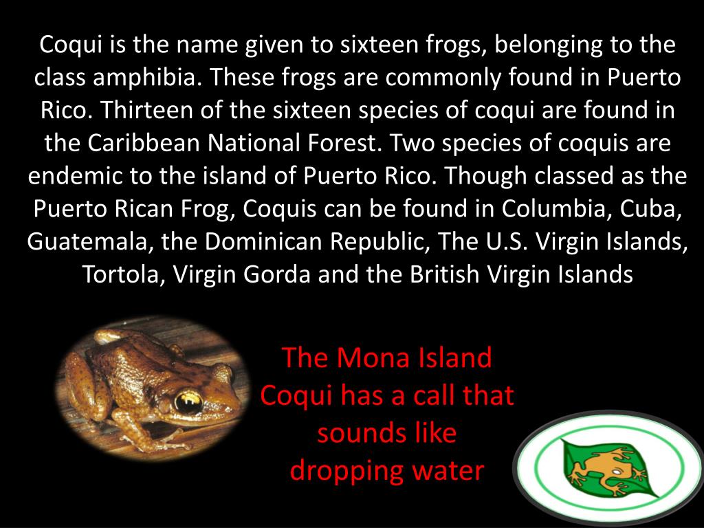 PPT COQUI PowerPoint Presentation, free download ID2362649