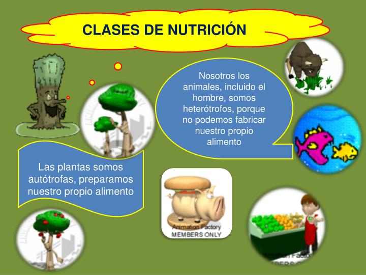 Diferentes Tipos De Nutricion De Los Seres Vivos Odica Images