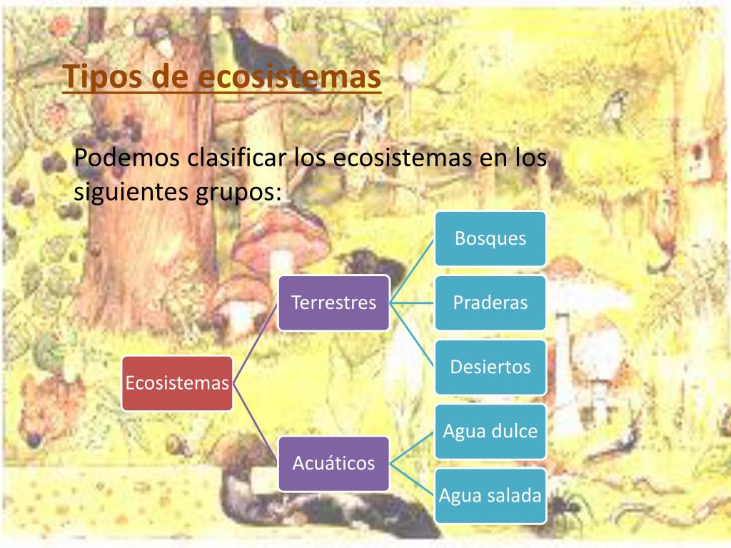 PPT Tema 5 Los ecosistemas PowerPoint Presentation, free download