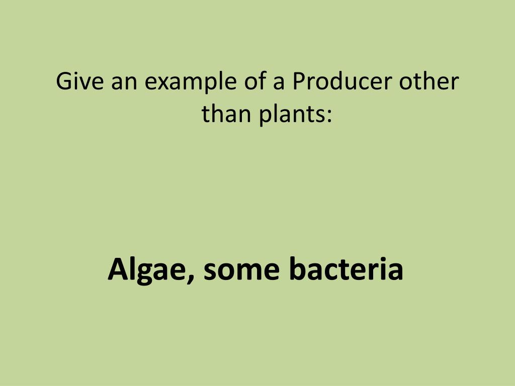 PPT Chapter 3 & 4 Test Review PowerPoint Presentation, free download