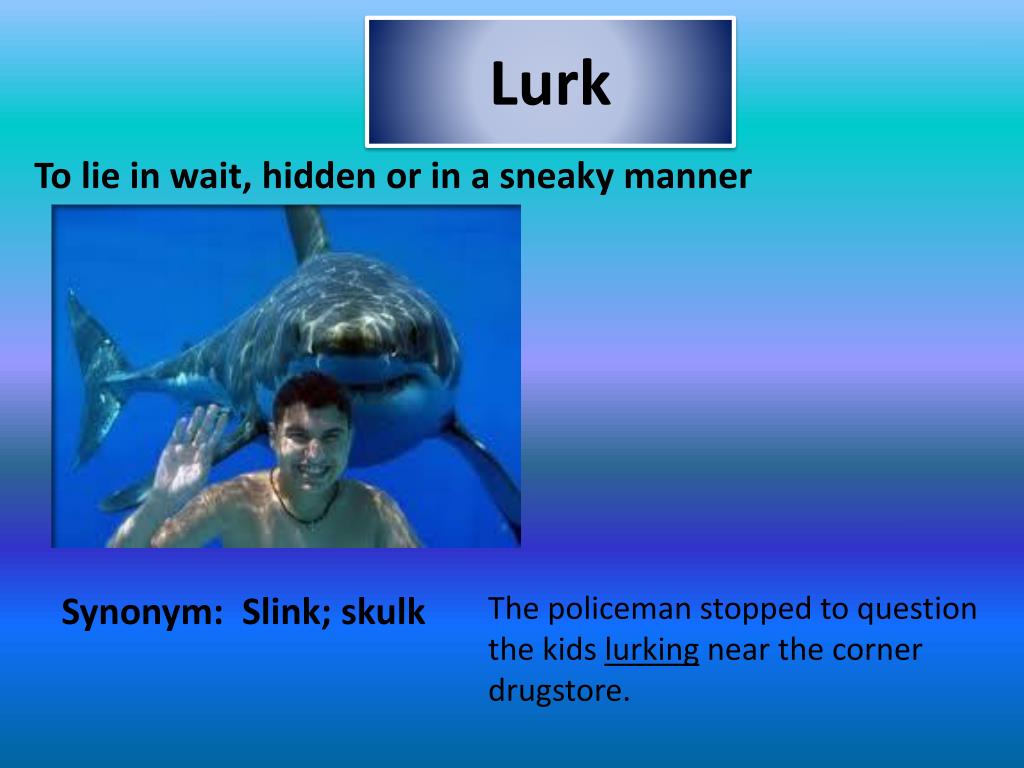 PPT Vocabulary 1 PowerPoint Presentation, free download ID2367084