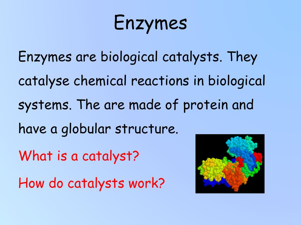 PPT Factors affecting enzymes PowerPoint Presentation