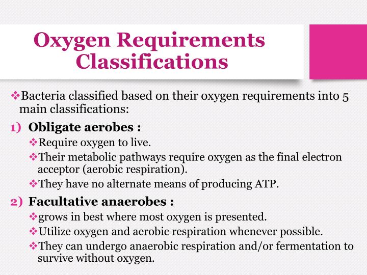 PPT Bacteria oxygen requirements & Anaerobic Bacteria PowerPoint