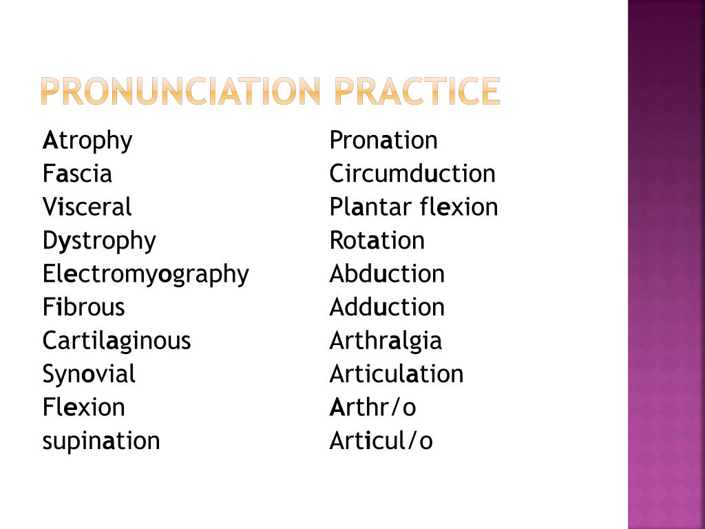 PPT Muscles and Joints PowerPoint Presentation, free download ID