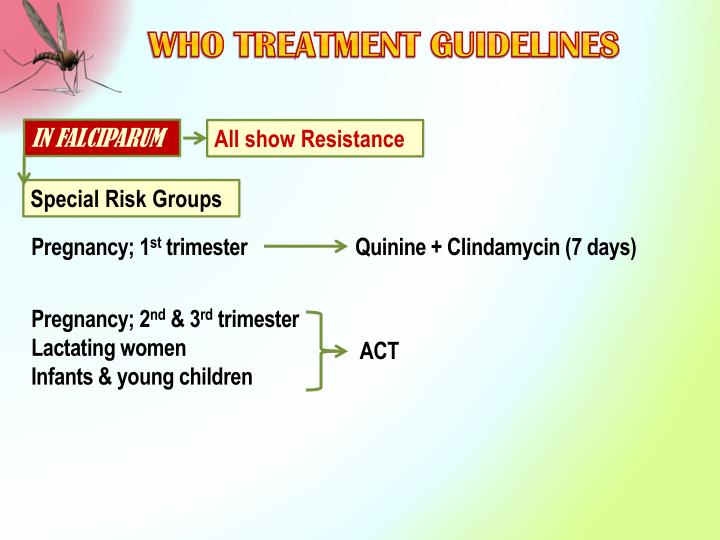 PPT ANTIMALARIAL DRUGS PowerPoint Presentation ID2370524