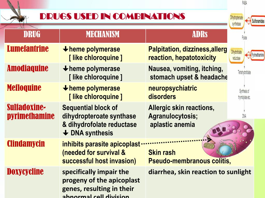 PPT ANTIMALARIAL DRUGS PowerPoint Presentation, free download ID