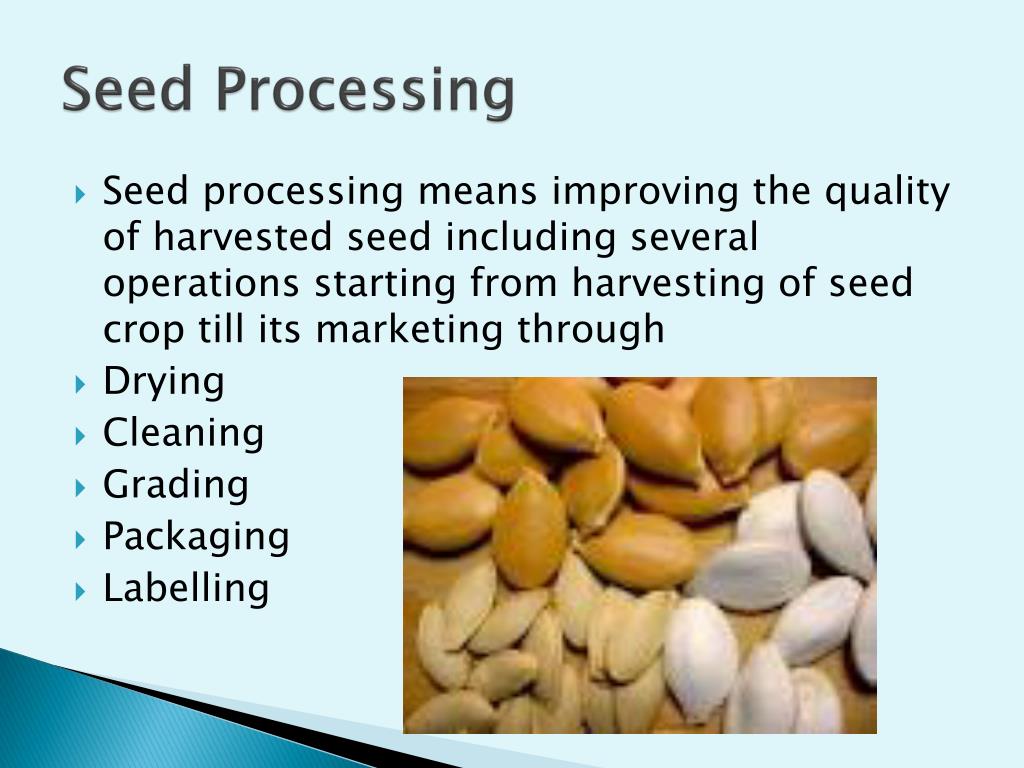 PPT Quality Seed Production PowerPoint Presentation, free download