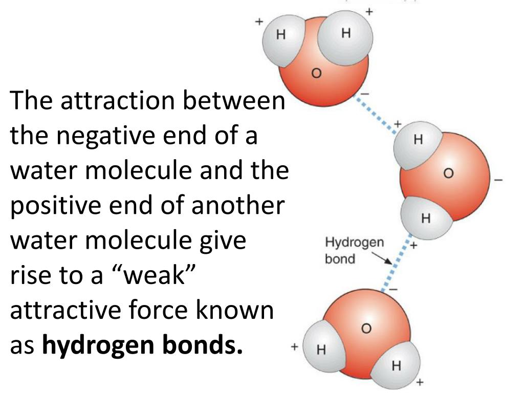 PPT Chemical and Physical Features of Seawater and the World Ocean