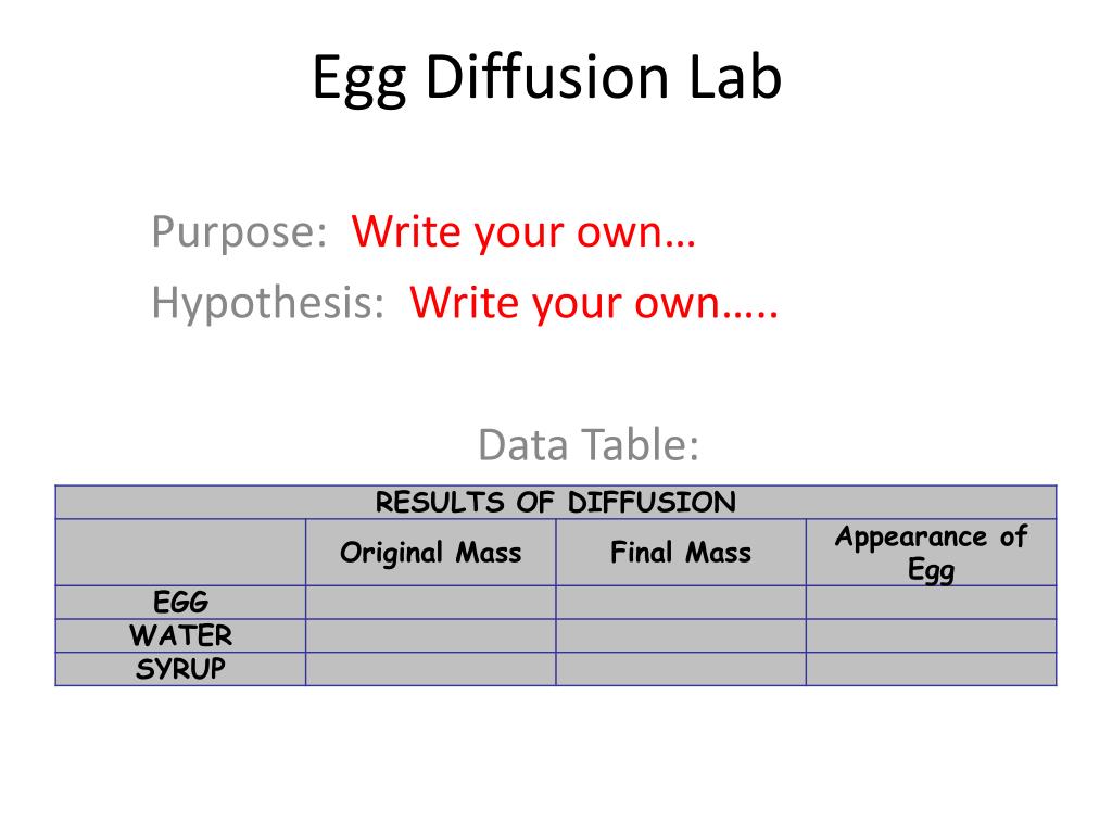PPT Egg Diffusion Lab PowerPoint Presentation, free download ID2376561