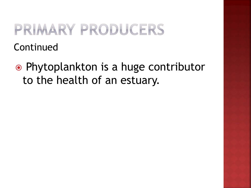 PPT ESTUARIES PowerPoint Presentation, free download ID2376752