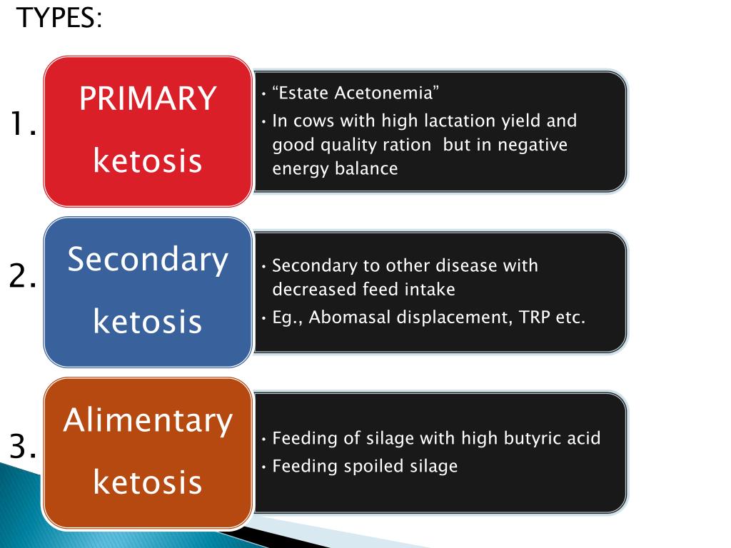 PPT BOVINE KETOSIS PowerPoint Presentation, free download ID2381539