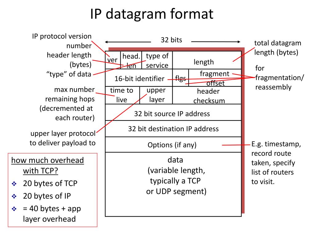 PPT Network layer PowerPoint Presentation, free download ID2385612