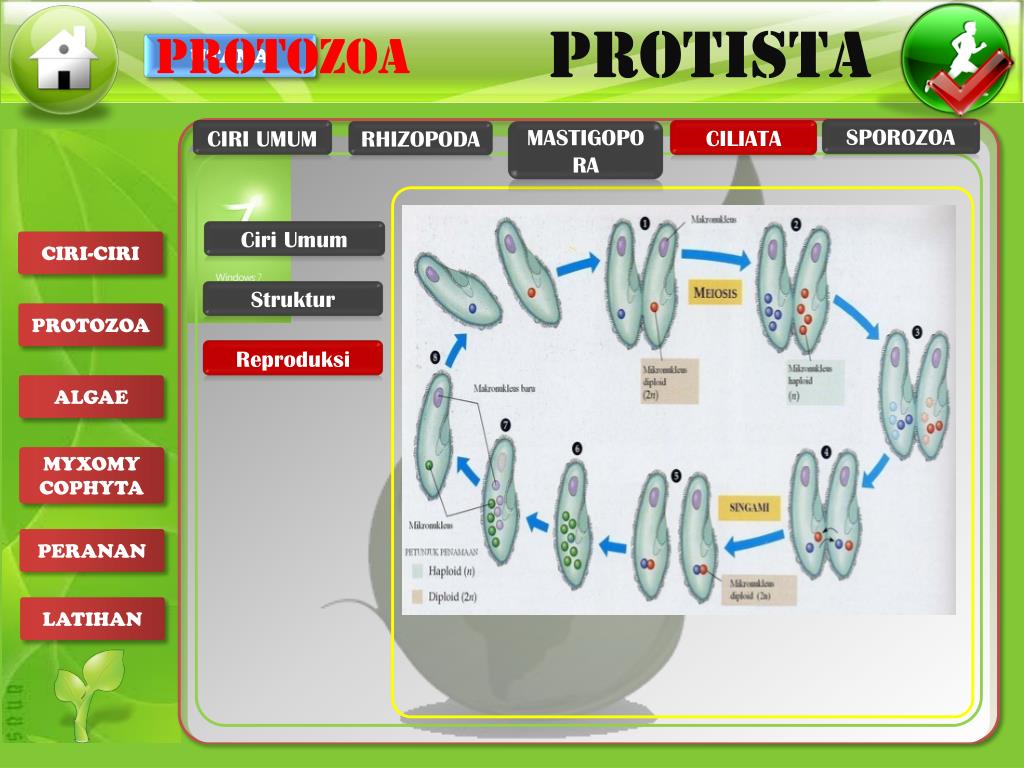 PPT MEMPERSEMBAHKAN MEDIA PEMBELAJARAN INTERAKTIF PowerPoint