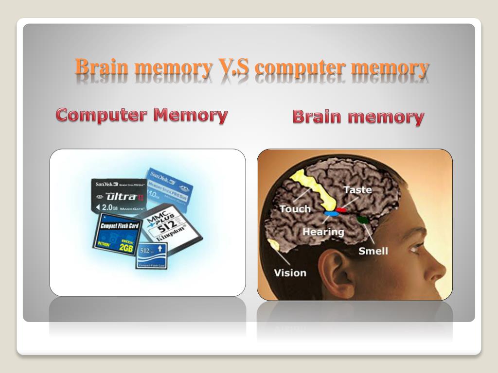 PPT Computer Memory Chips Vs. Human Memory PowerPoint Presentation, free download ID2389407