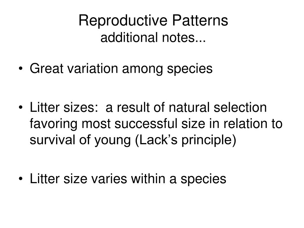 PPT Reproduction A PowerPoint Presentation, free download ID2391738