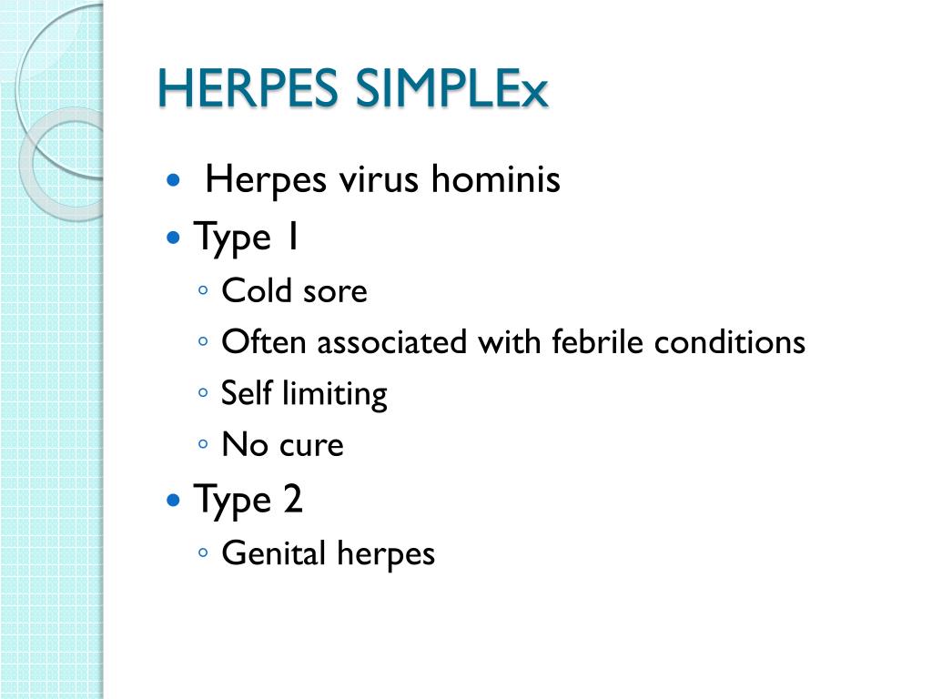 PPT INTEGUMENTARY Nursing care PowerPoint Presentation, free download