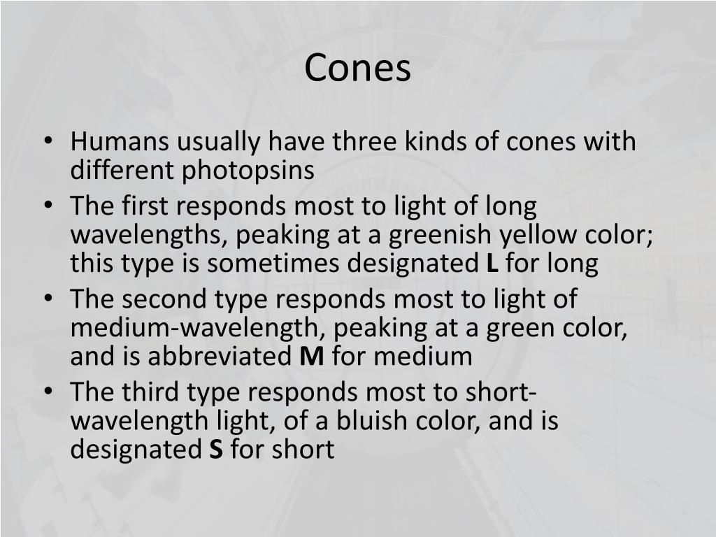 PPT Human Vision PowerPoint Presentation, free download ID2392357