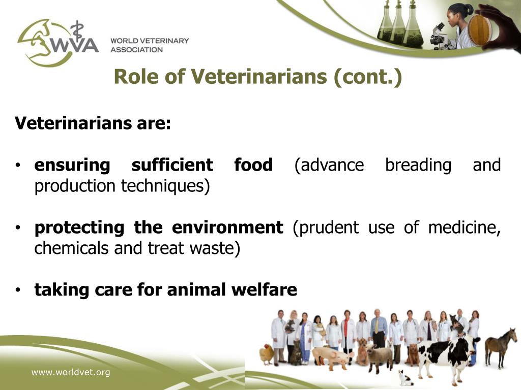PPT OIE Global Conference on Veterinary Education and the Role of VSB