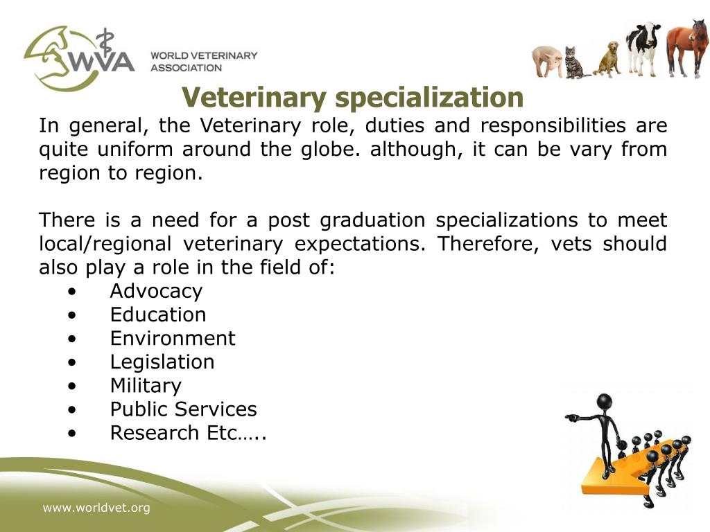 PPT OIE Global Conference on Veterinary Education and the Role of VSB