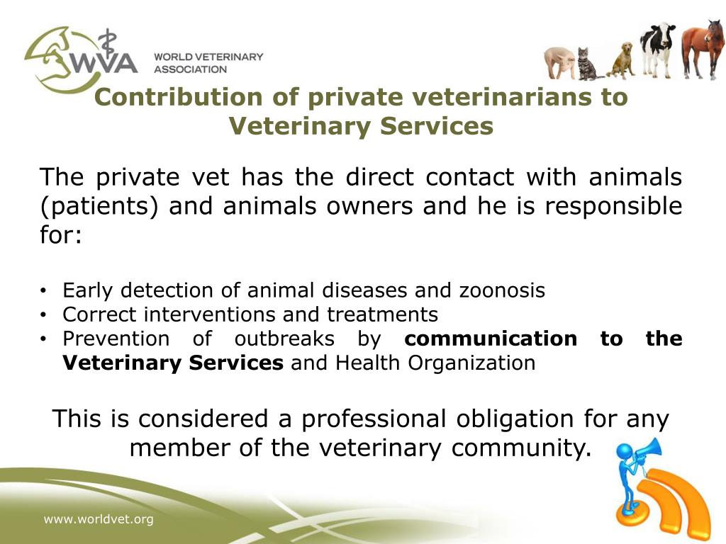 PPT OIE Global Conference on Veterinary Education and the Role of VSB