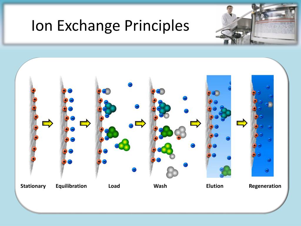 PPT IEX Chromatography PowerPoint Presentation, free download ID